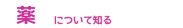 薬について知る